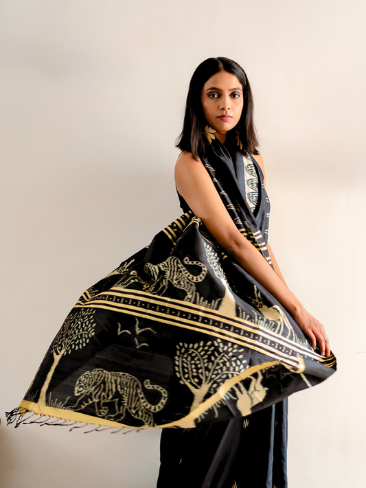 Bagha Silk Ikat Handwoven Saree